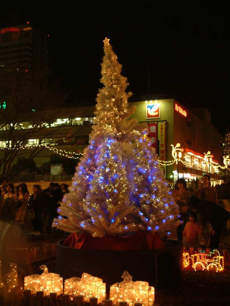 DSCF0594.JPG