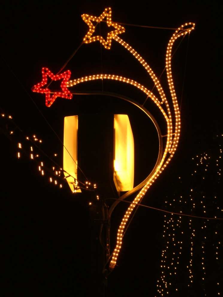 DSCF0598.JPG