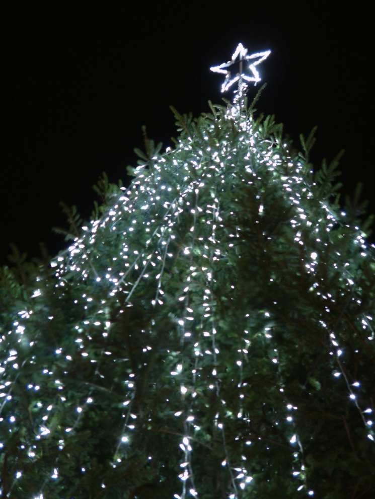 DSCF0630.JPG