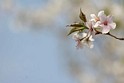 IMG_3424
