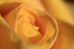 �s���_��A�������ɂ�