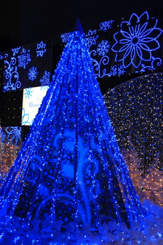 IMG_1661.JPG