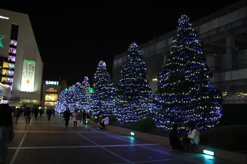 IMG_1716.JPG