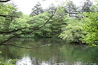 IMG_4495