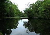 IMG_4514