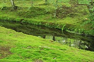 IMG_4517