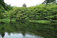 IMG_4522