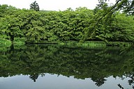 IMG_4528