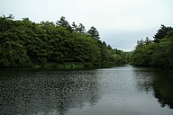 IMG_4532