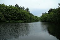 IMG_4533