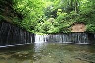 IMG_4584