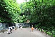 IMG_4602