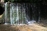 IMG_4629