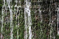 IMG_4631