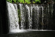 IMG_4638