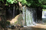 IMG_4644
