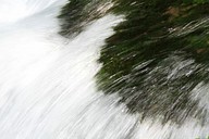 IMG_4670