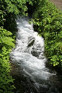 IMG_4675