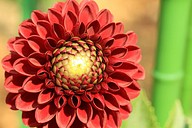 IMG_4983
