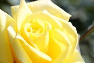 IMG_6374