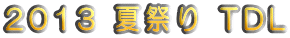 2013 �čՂ� TDL
