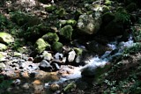 IMG_9975