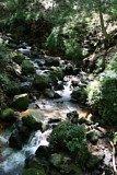 IMG_9981
