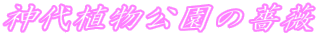�_��A���������K�N
